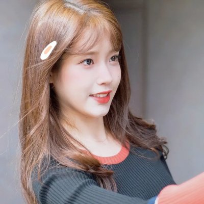 杨林的神奇动物园